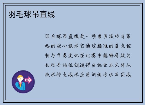 羽毛球吊直线